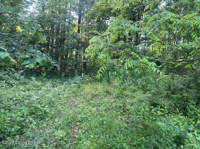 4 Hackney Ln, Bedford, KY 40006 - photo 7