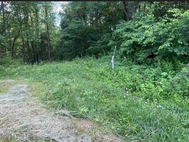 4 Hackney Ln, Bedford, KY 40006 - photo 8