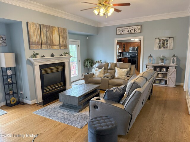 117 Deep Springs Dr, Bardstown, KY 40004 - living room featuring ceiling fan, light wood-style flooring, ornamental molding, and a glass covered fireplace
