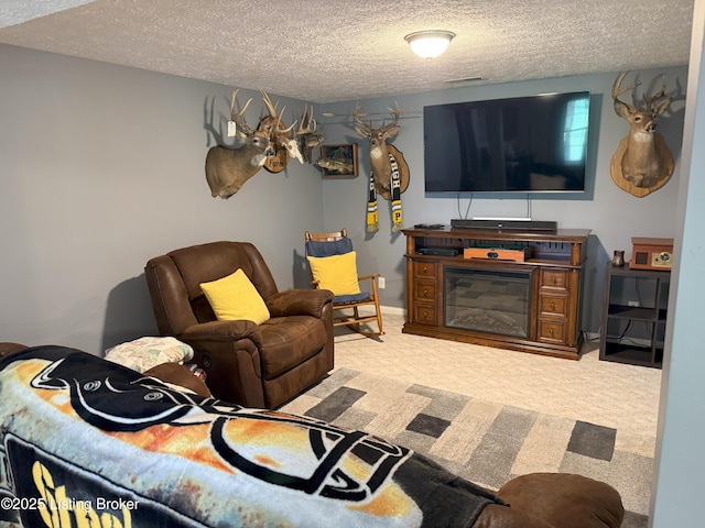 117 Deep Springs Dr, Bardstown, KY 40004 - living area with a textured ceiling and carpet floors