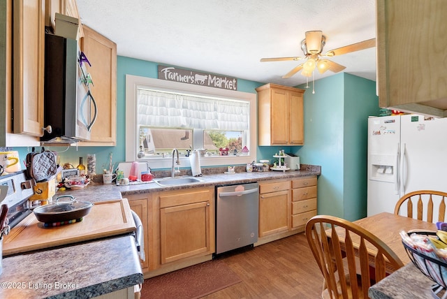 101 Bond St, Lawrenceburg, KY 40342 - kitchen with stainless steel appliances, light wood-style floors, ceiling fan, and light brown cabinetry