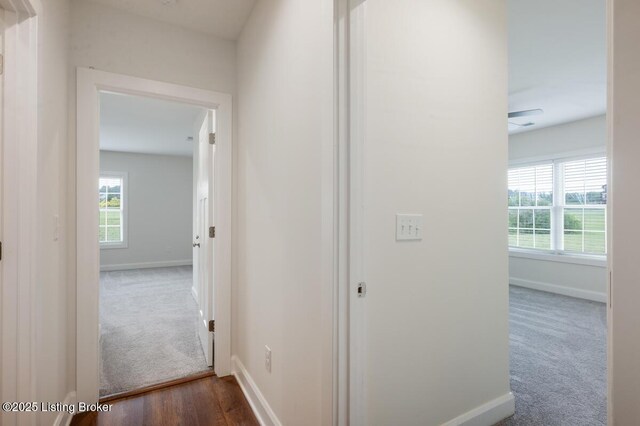 106 Low Country Ct, Elizabethtown, KY 42701 - photo 19
