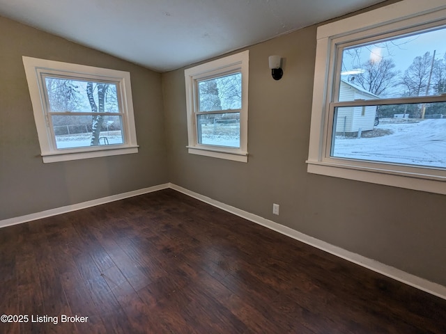 4100 Puppers Ct, Louisville, KY 40213 - spare room featuring lofted ceiling and dark wood-type flooring