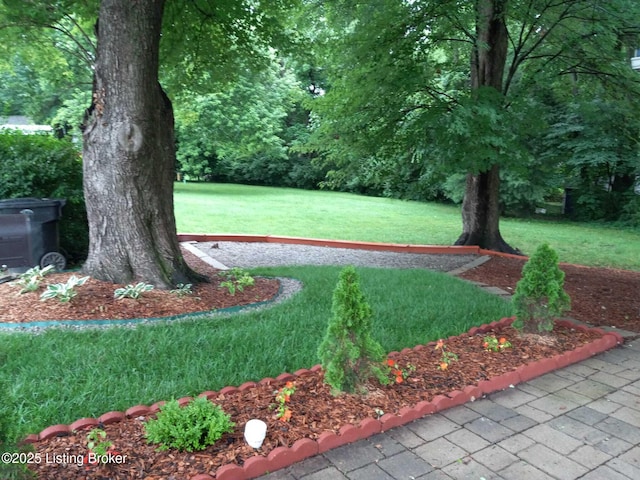 4100 Puppers Ct, Louisville, KY 40213 - view of grassy yard