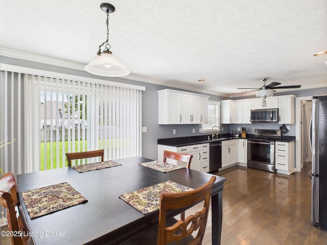 6408 Autumn Oak Way, Louisville, KY 40272 - kitchen featuring stainless steel appliances, crown molding, white cabinetry, a textured ceiling, and dark wood-style floors