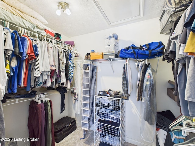 6408 Autumn Oak Way, Louisville, KY 40272 - walk in closet with attic access