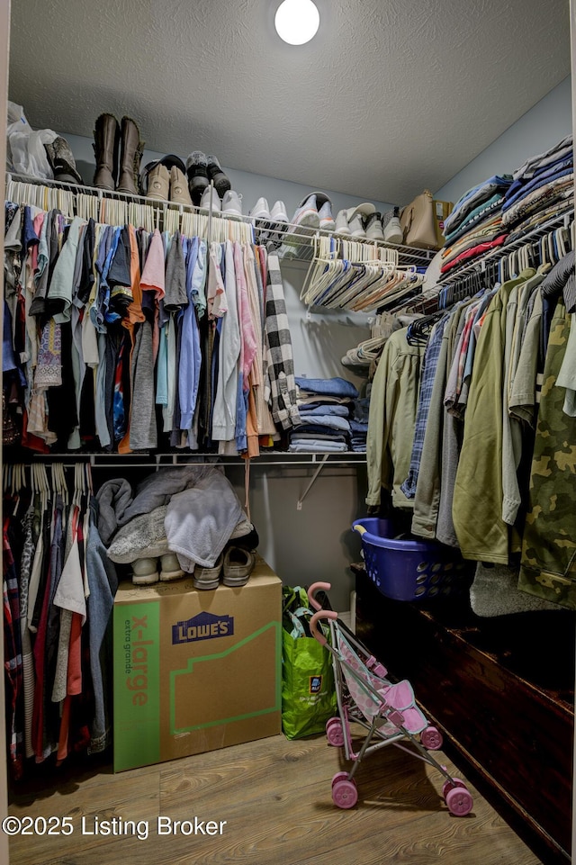 126 Shallow Springs Ct, Bardstown, KY 40004 - walk in closet featuring wood finished floors