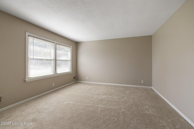 8816 Moody Rd, Louisville, KY 40219 - photo 17