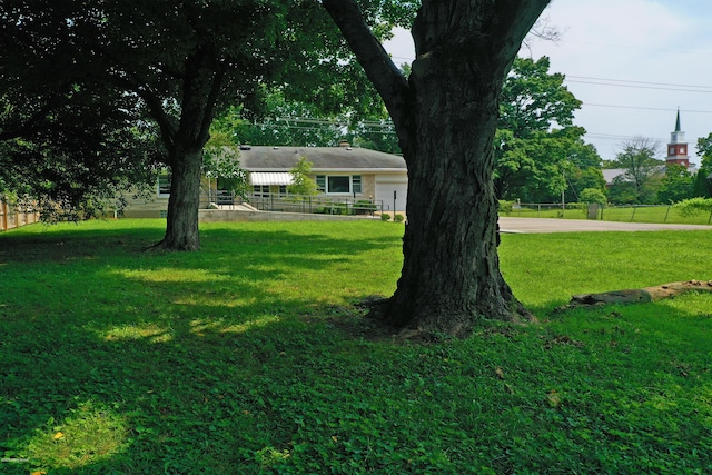 9212 Preston Hwy, Louisville, KY 40229 - view of yard