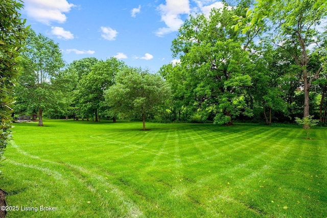 12812 Ridgemoor Dr, Prospect, KY 40059 - view of green lawn with view of scattered trees