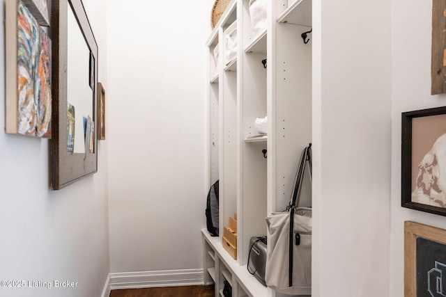 12812 Ridgemoor Dr, Prospect, KY 40059 - walk in closet with dark wood-style flooring