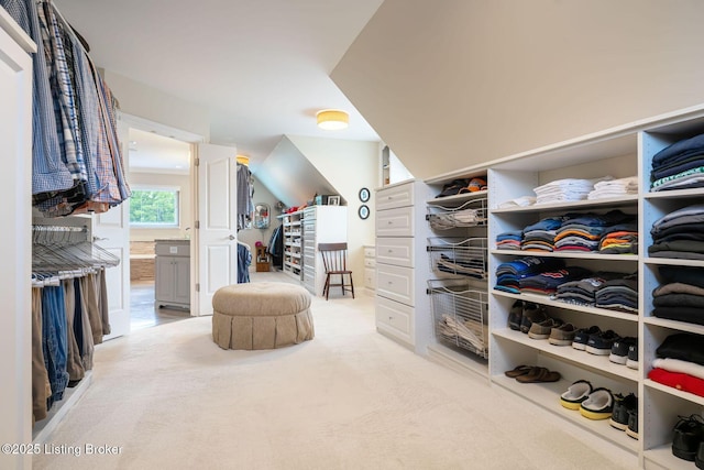 12812 Ridgemoor Dr, Prospect, KY 40059 - spacious closet featuring carpet floors