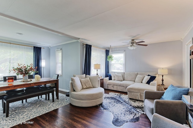 1301 Mark Trail Rd, Louisville, KY 40242 - living room featuring ornamental molding, wood finished floors, and a ceiling fan