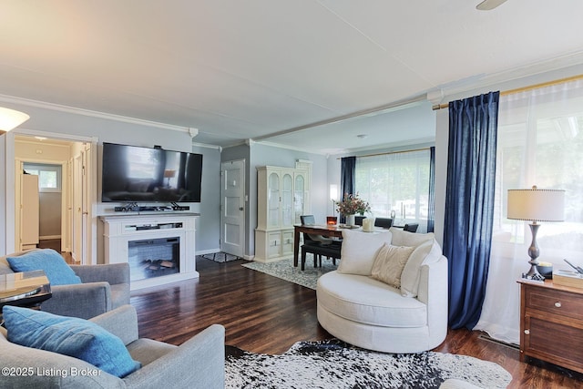 1301 Mark Trail Rd, Louisville, KY 40242 - living area featuring ornamental molding, dark wood-type flooring, and a fireplace