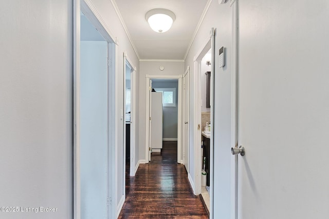 1301 Mark Trail Rd, Louisville, KY 40242 - corridor featuring dark wood-style flooring and crown molding