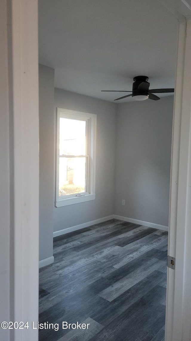 428 E Ormsby Ave, Louisville, KY 40203 - photo 10