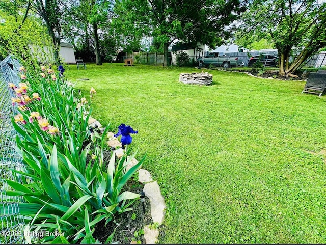 4021/2 Ripy St, Lawrenceburg, KY 40342 - view of yard
