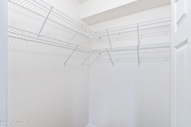 13404 Prospect Glen Way, Prospect, KY 40059 - view of spacious closet