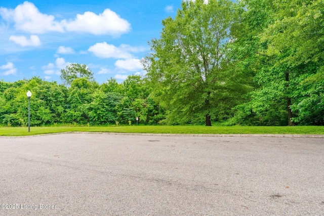 13404 Prospect Glen Way, Prospect, KY 40059 - view of asphalt street with street lighting, curbs, and a wooded view