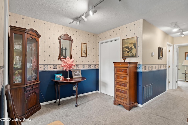 710 Victoria Ct, New Albany, IN 47150 - bathroom featuring track lighting, wallpapered walls, a textured ceiling, and carpet floors