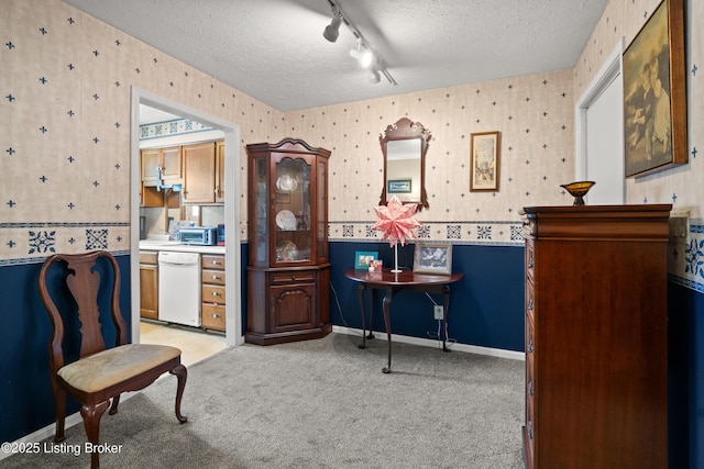 710 Victoria Ct, New Albany, IN 47150 - sitting room featuring wallpapered walls, rail lighting, a textured ceiling, and light carpet