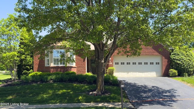 5019 Caerlson Ln, Louisville, KY 40241 - photo 2
