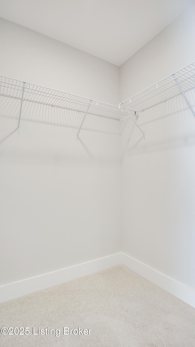 91 Jacks Ct, Fisherville, KY 40023 - photo 79