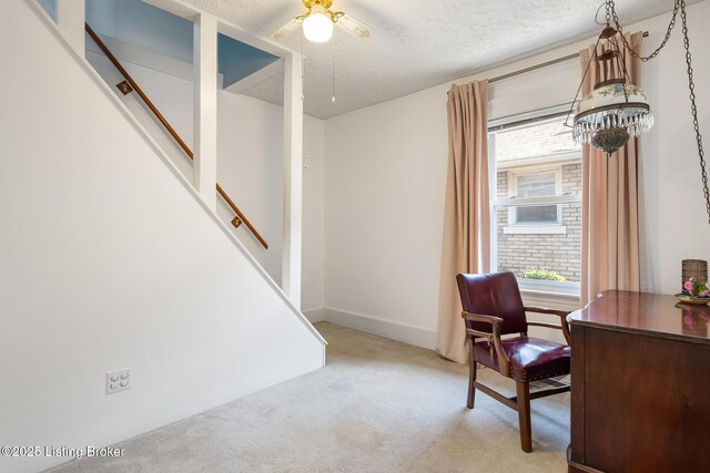 2436 Concord Dr, Louisville, KY 40217 - photo 21