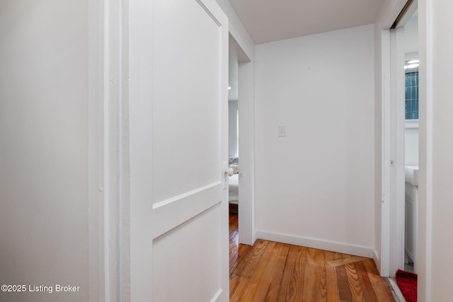 523 Fenley Ave, Louisville, KY 40222 - hallway with wood finished floors and baseboards
