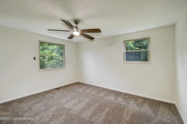 9313 Plumwood Pl, Crestwood, KY 40014 - carpeted spare room featuring healthy amount of natural light, a ceiling fan, and a textured ceiling