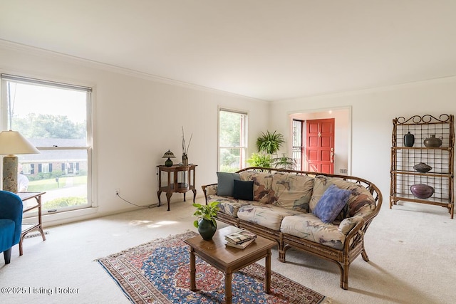 1824 Knollwood Rd, Louisville, KY 40207 - living room with light colored carpet and crown molding