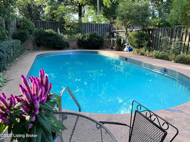 1824 Knollwood Rd, Louisville, KY 40207 - view of pool with a fenced backyard