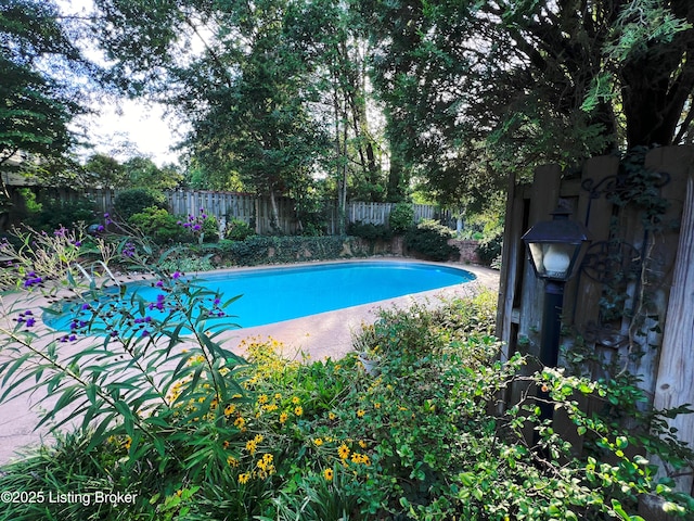 1824 Knollwood Rd, Louisville, KY 40207 - view of swimming pool featuring a fenced backyard