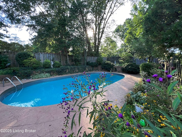 1824 Knollwood Rd, Louisville, KY 40207 - view of swimming pool featuring a fenced backyard