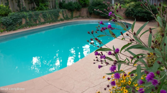 1824 Knollwood Rd, Louisville, KY 40207 - view of pool