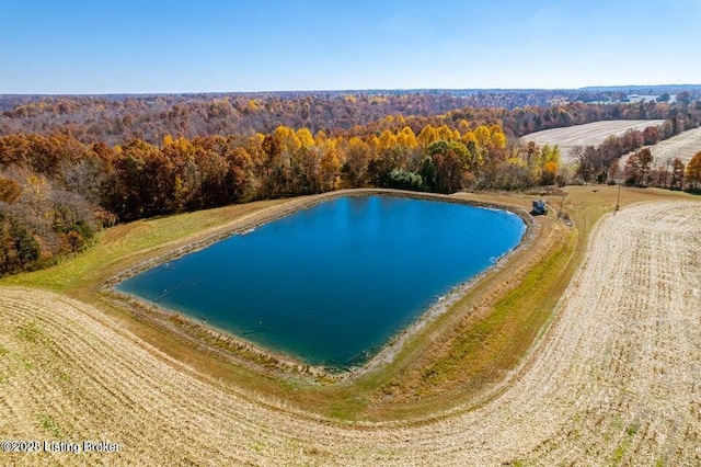 129 Henry Hathorne Ln, Rhodelia, KY 40161 - view of pool featuring a forest view and a water view