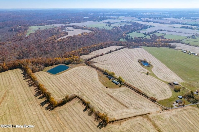 129 Henry Hathorne Ln, Rhodelia, KY 40161 - overview of rural landscape featuring farmland