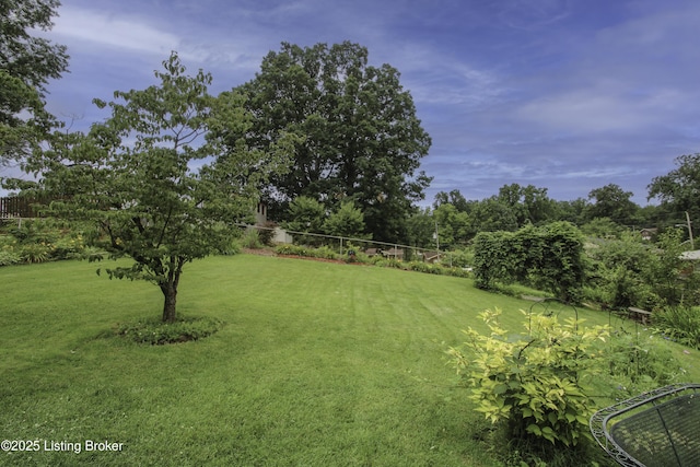 1536 Knight Rd, Louisville, KY 40216 - photo 40