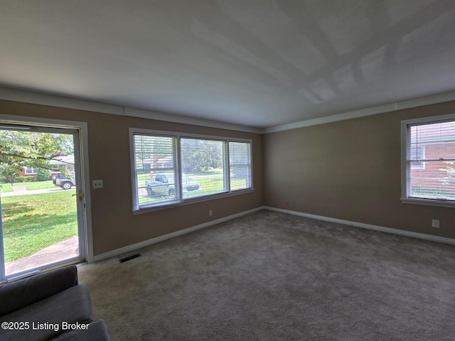 30 Chamberry Cir, Louisville, KY 40207 - photo 9