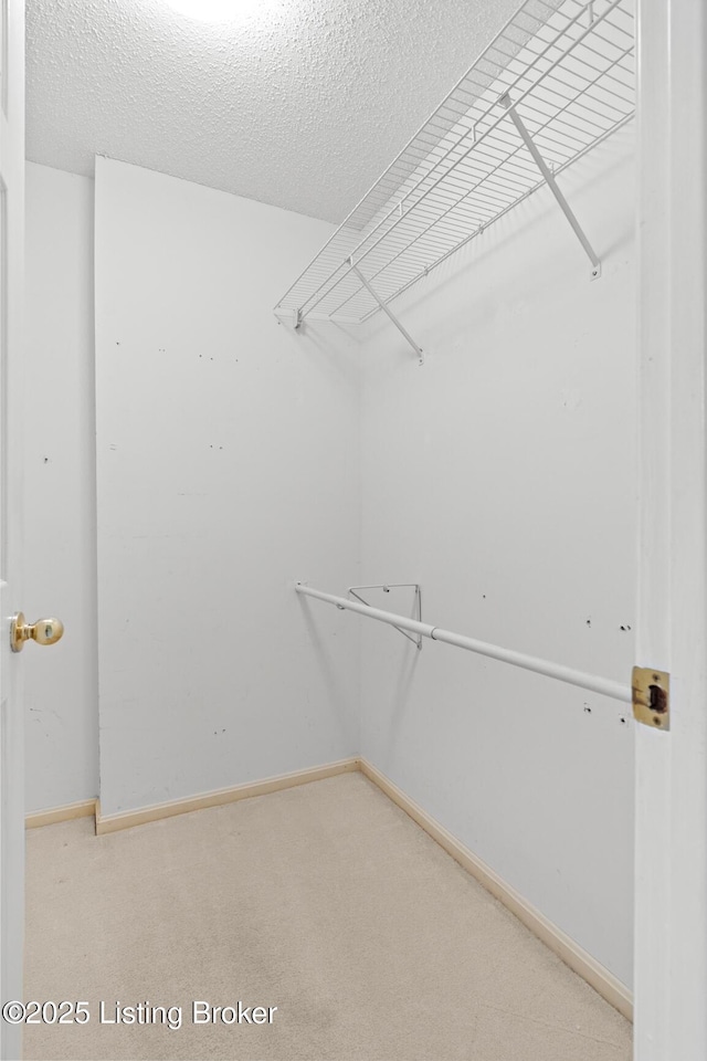 8001 Port Royal Ct, Louisville, KY 40291 - walk in closet featuring carpet flooring