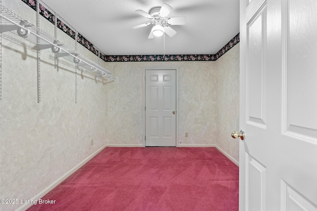 8001 Port Royal Ct, Louisville, KY 40291 - walk in closet with ceiling fan and carpet flooring