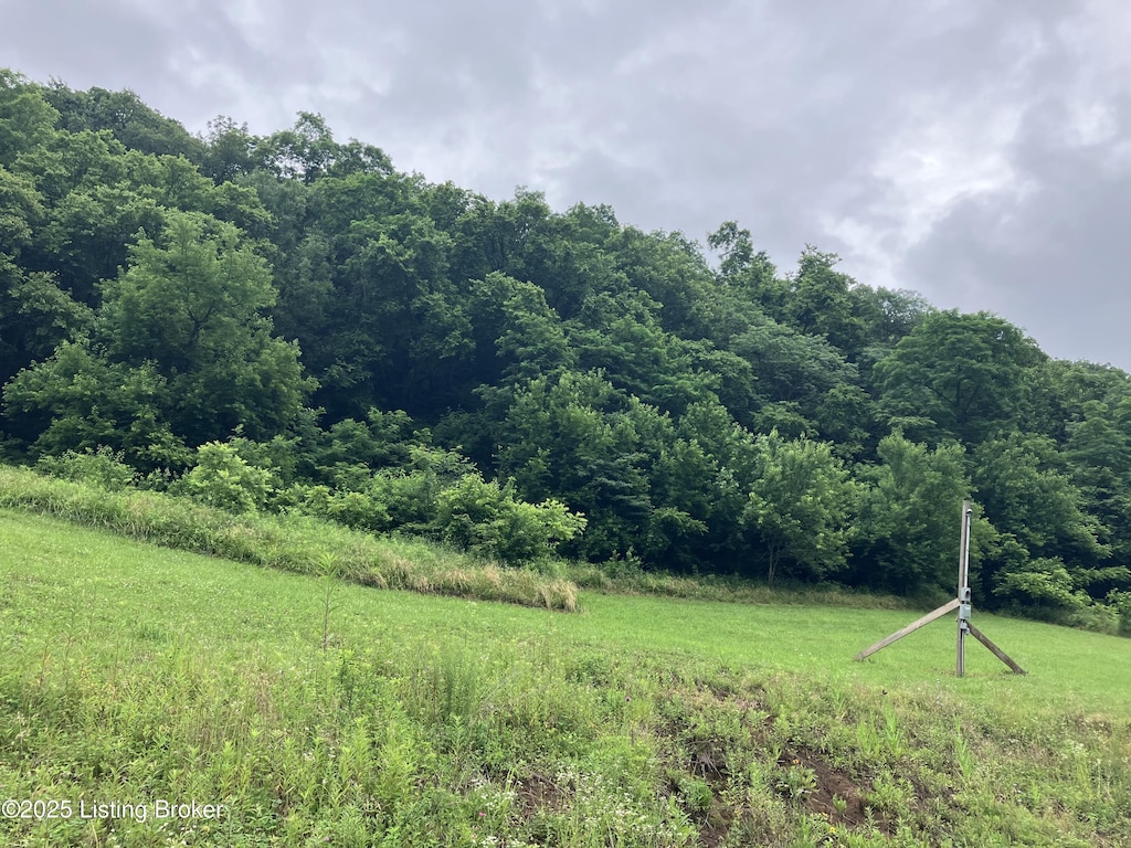 1381 Carlisle Rd, Carrollton, KY 41008 - photo 1