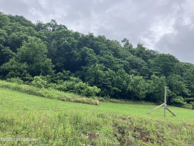 1381 Carlisle Rd, Carrollton, KY 41008 - photo 1
