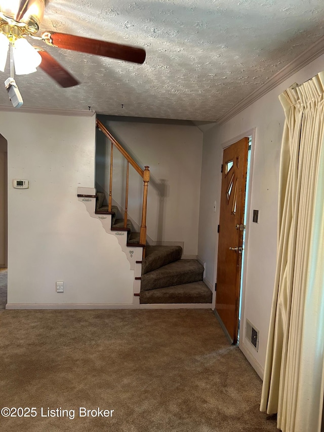 7604 Buena Vista Ct, Louisville, KY 40219 - photo 6
