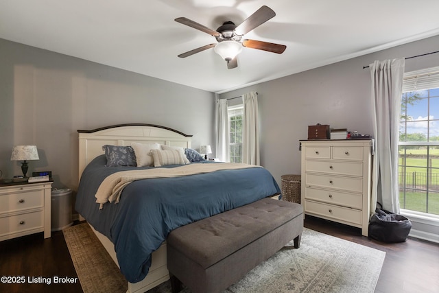3506 Coventry Tee Ct, Louisville, KY 40241 - bedroom with multiple windows and dark wood-style flooring