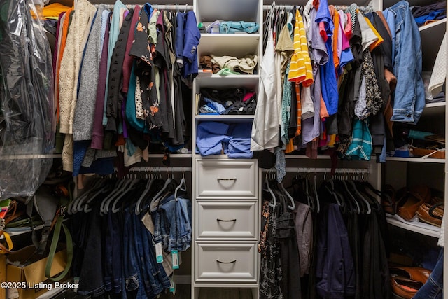 3506 Coventry Tee Ct, Louisville, KY 40241 - view of walk in closet
