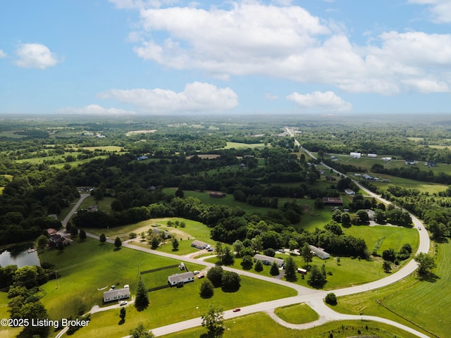 118 Meadowlark Ct, Bedford, KY 40006 - photo 36