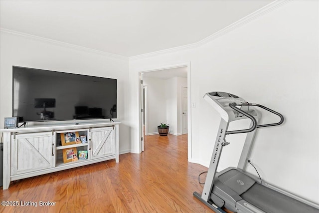 9311 Artis Way, Louisville, KY 40291 - workout room featuring ornamental molding and wood finished floors