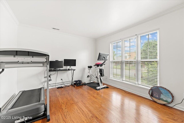 9311 Artis Way, Louisville, KY 40291 - exercise area featuring crown molding and wood finished floors