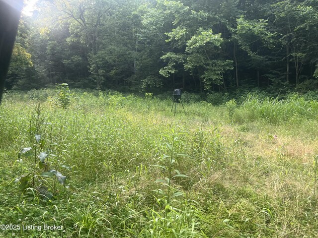 0 Green Hollow Rd, Raywick, KY 40060 - photo 13